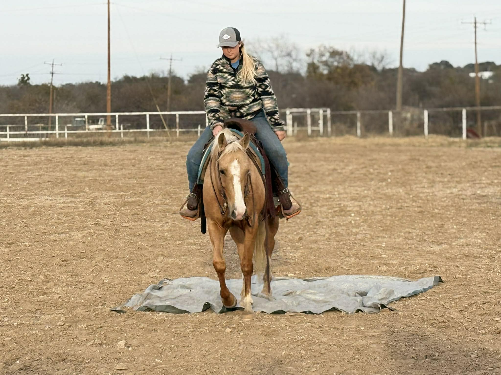 Dualin Jose Cuervo - Image 12