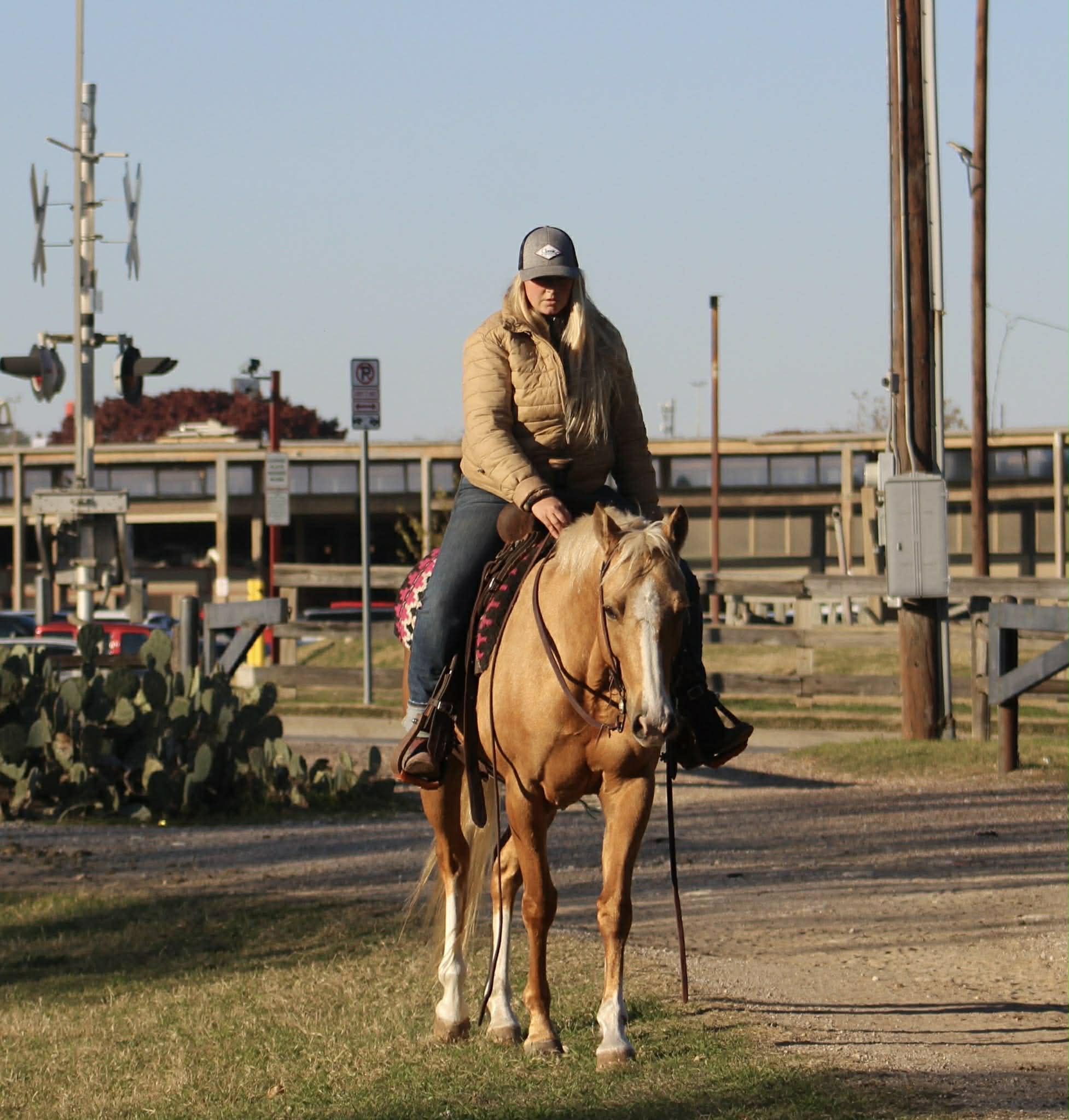 Dualin Jose Cuervo - Image 13