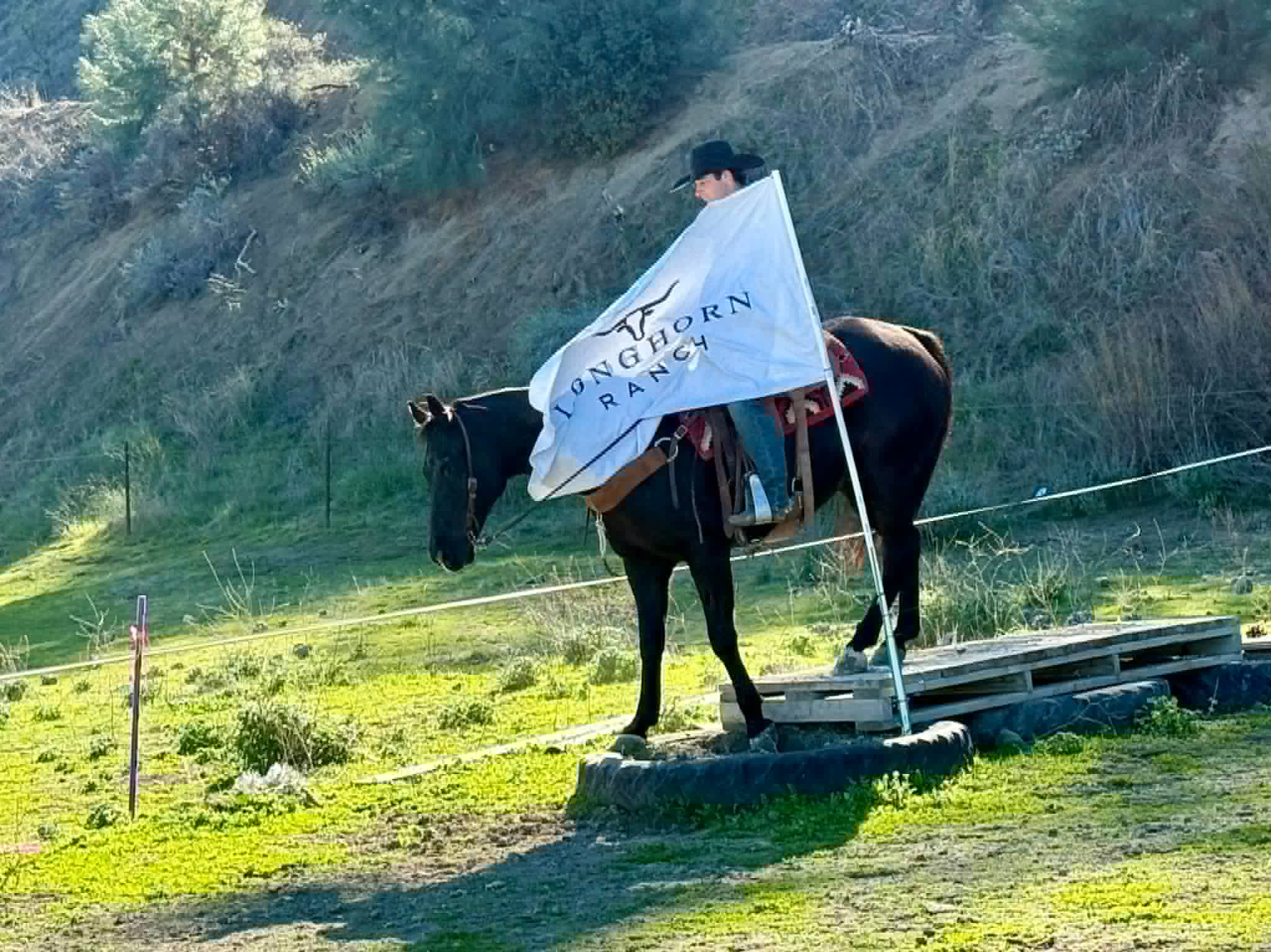 Blackberry - Image 11