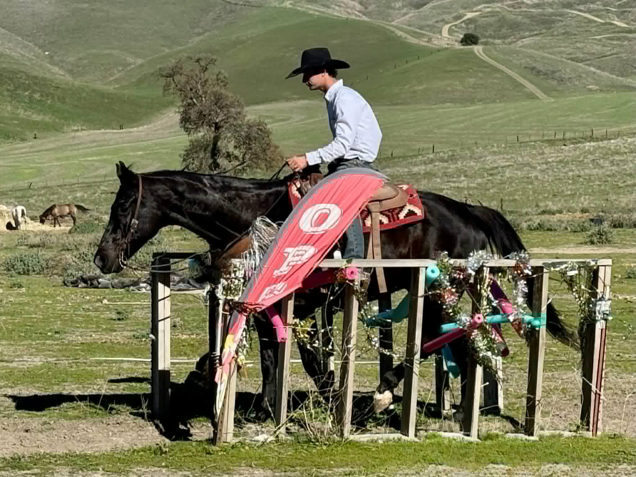 Blackberry - Image 13