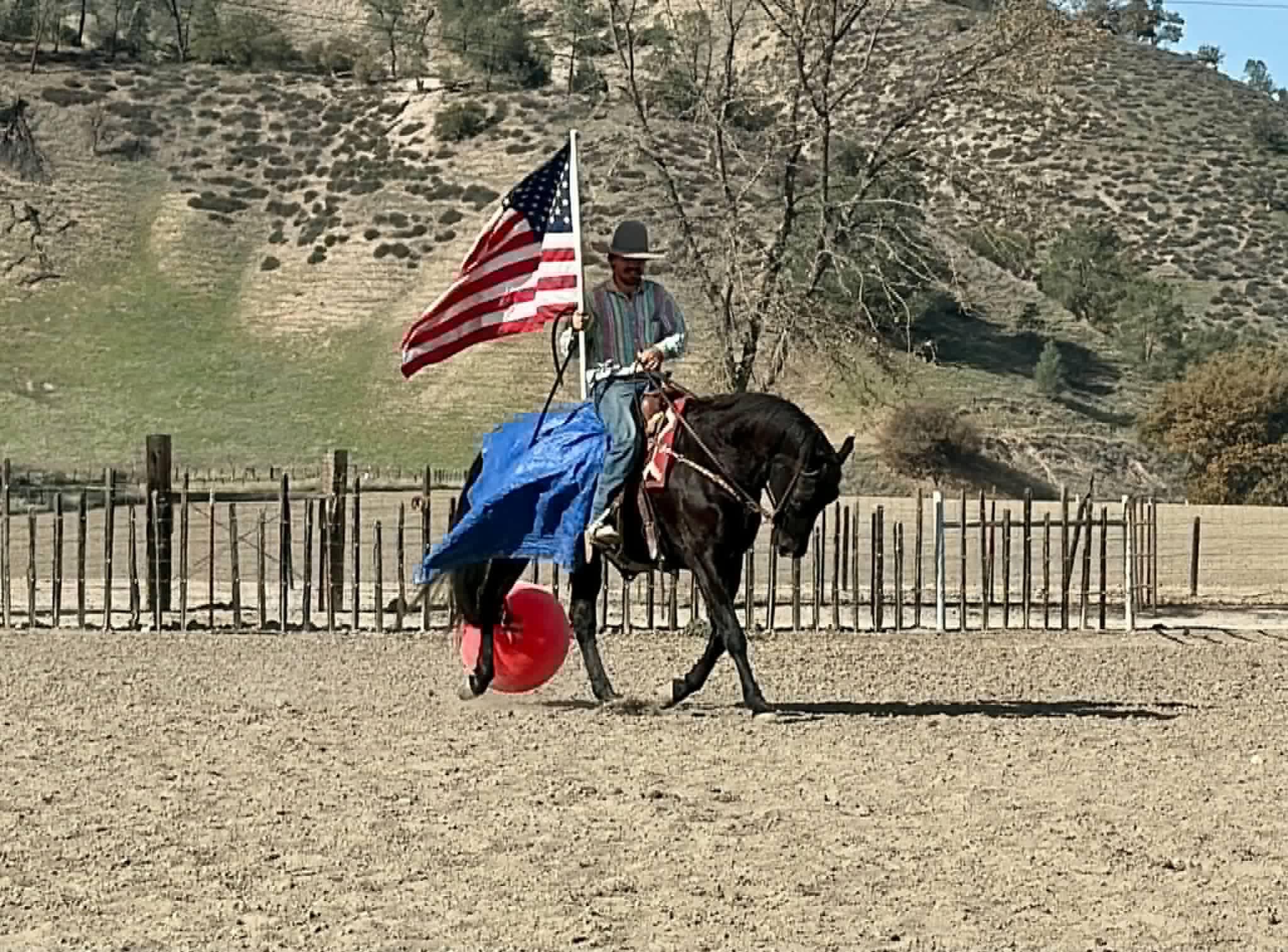 Blackberry - Image 16