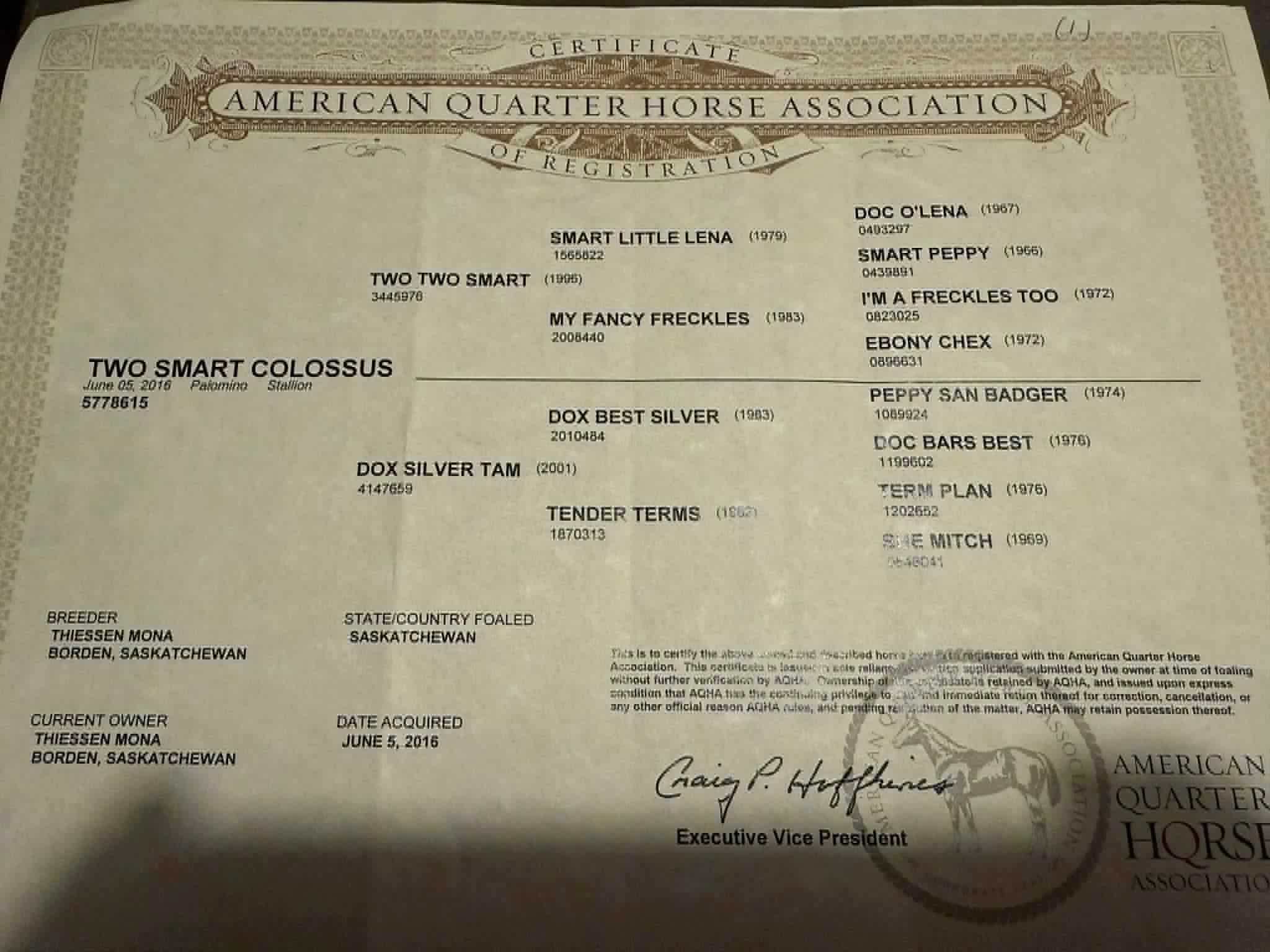 Two Smart Colossus - Image 3