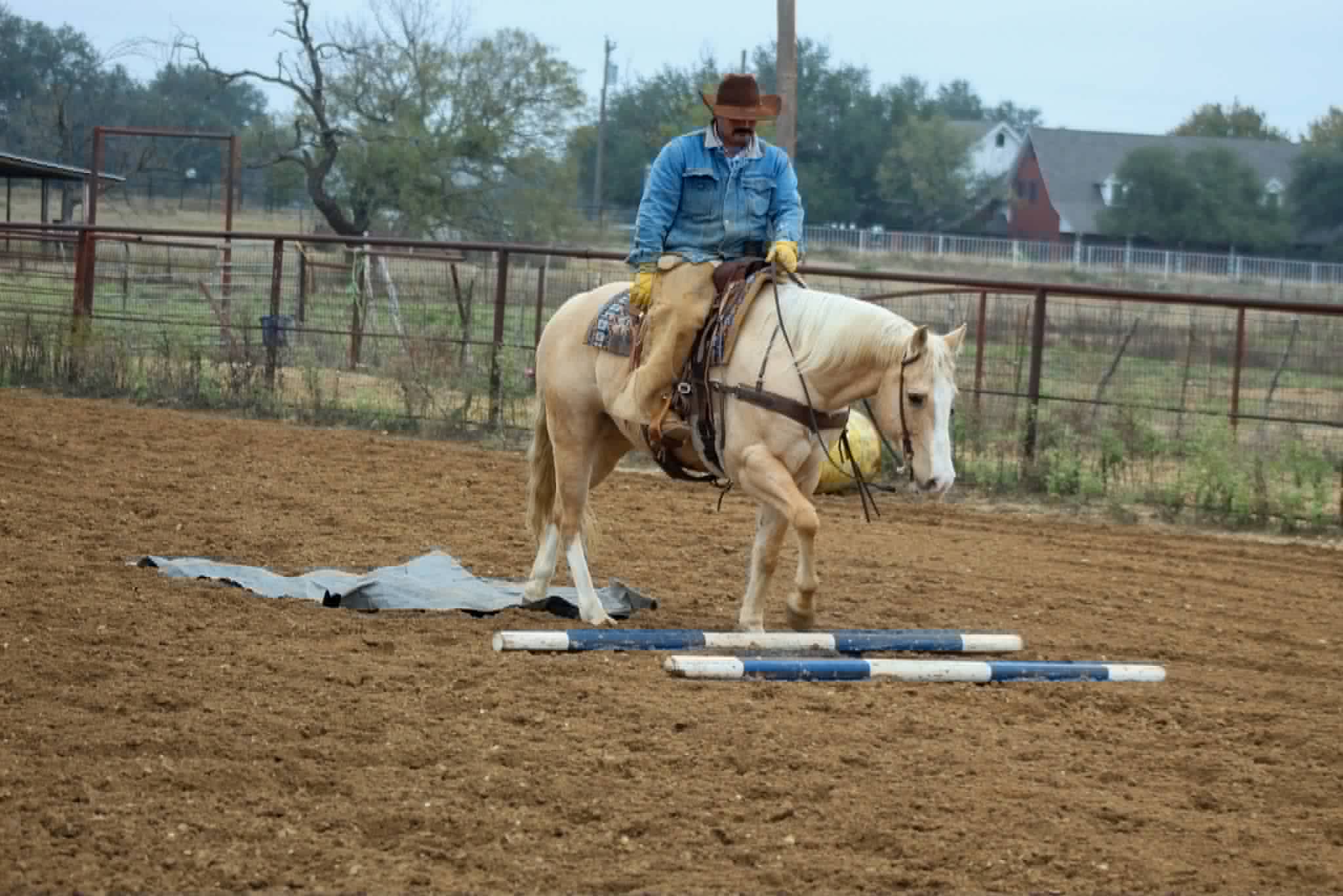 Two Smart Colossus - Image 5