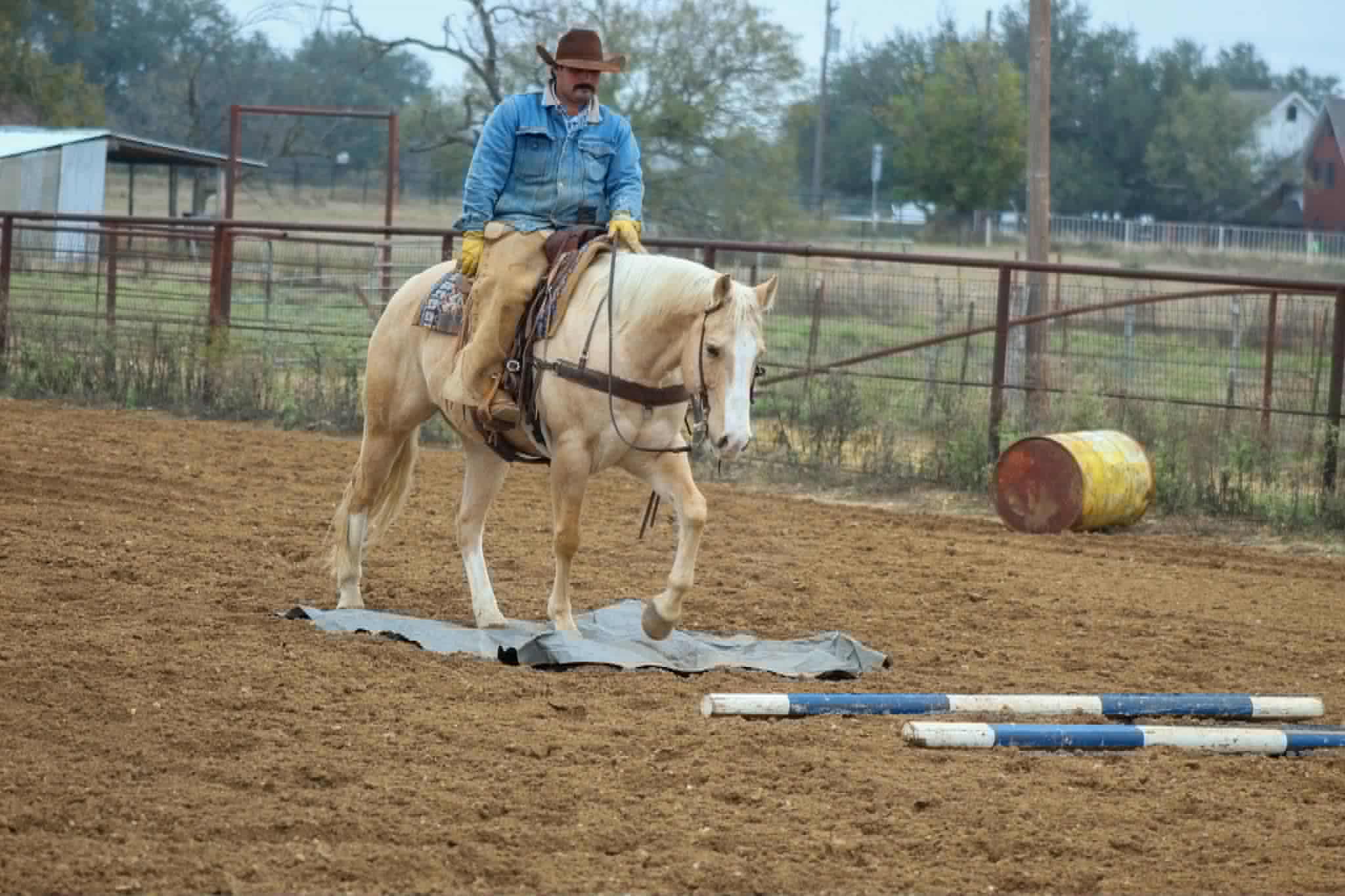 Two Smart Colossus - Image 6