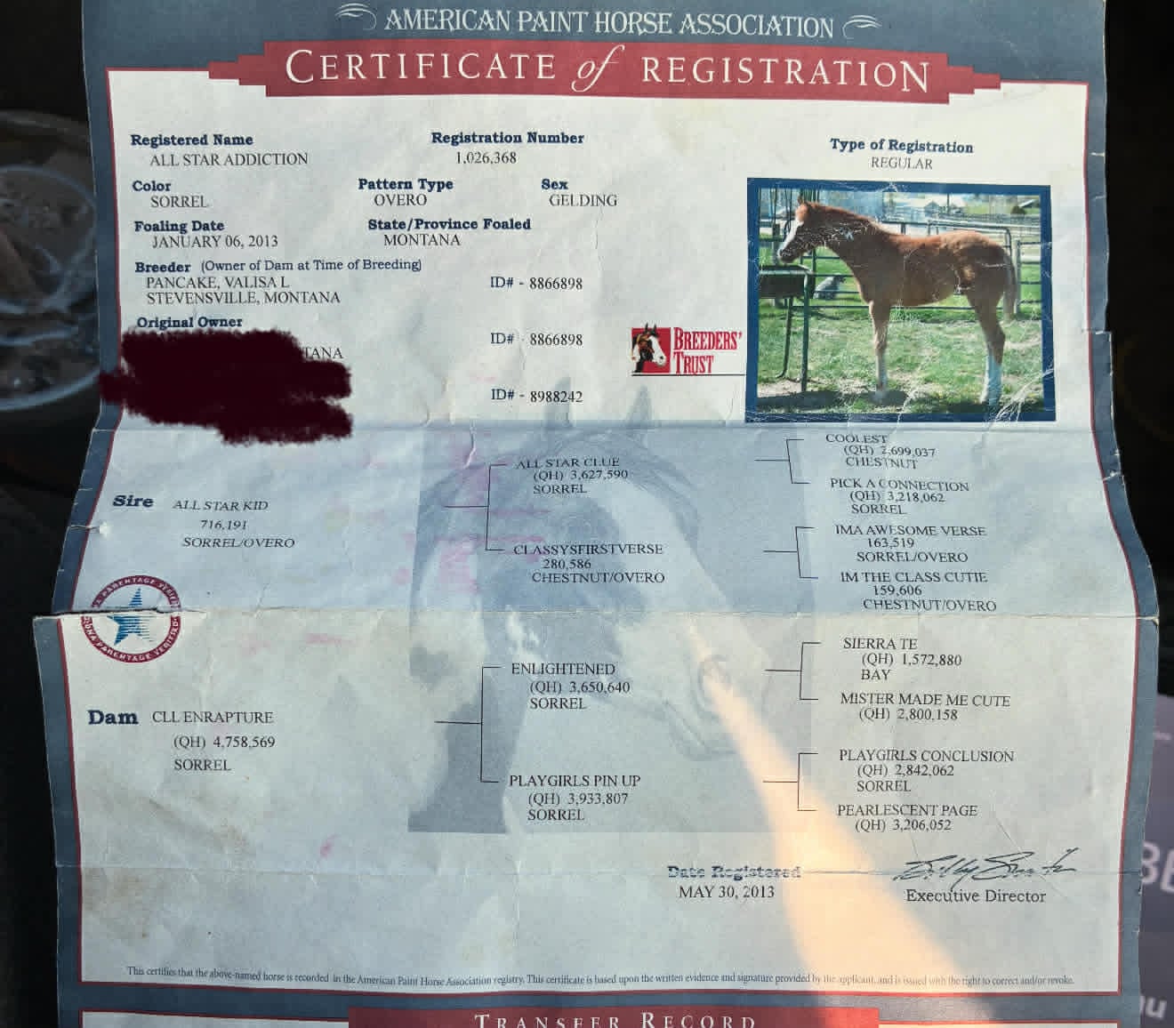 ALL STAR ADDICTION - Image 4