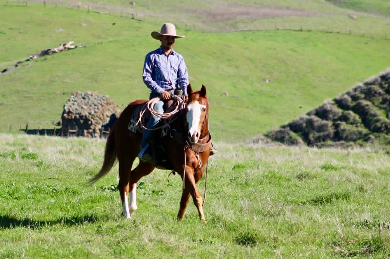 ALL STAR ADDICTION - Image 9