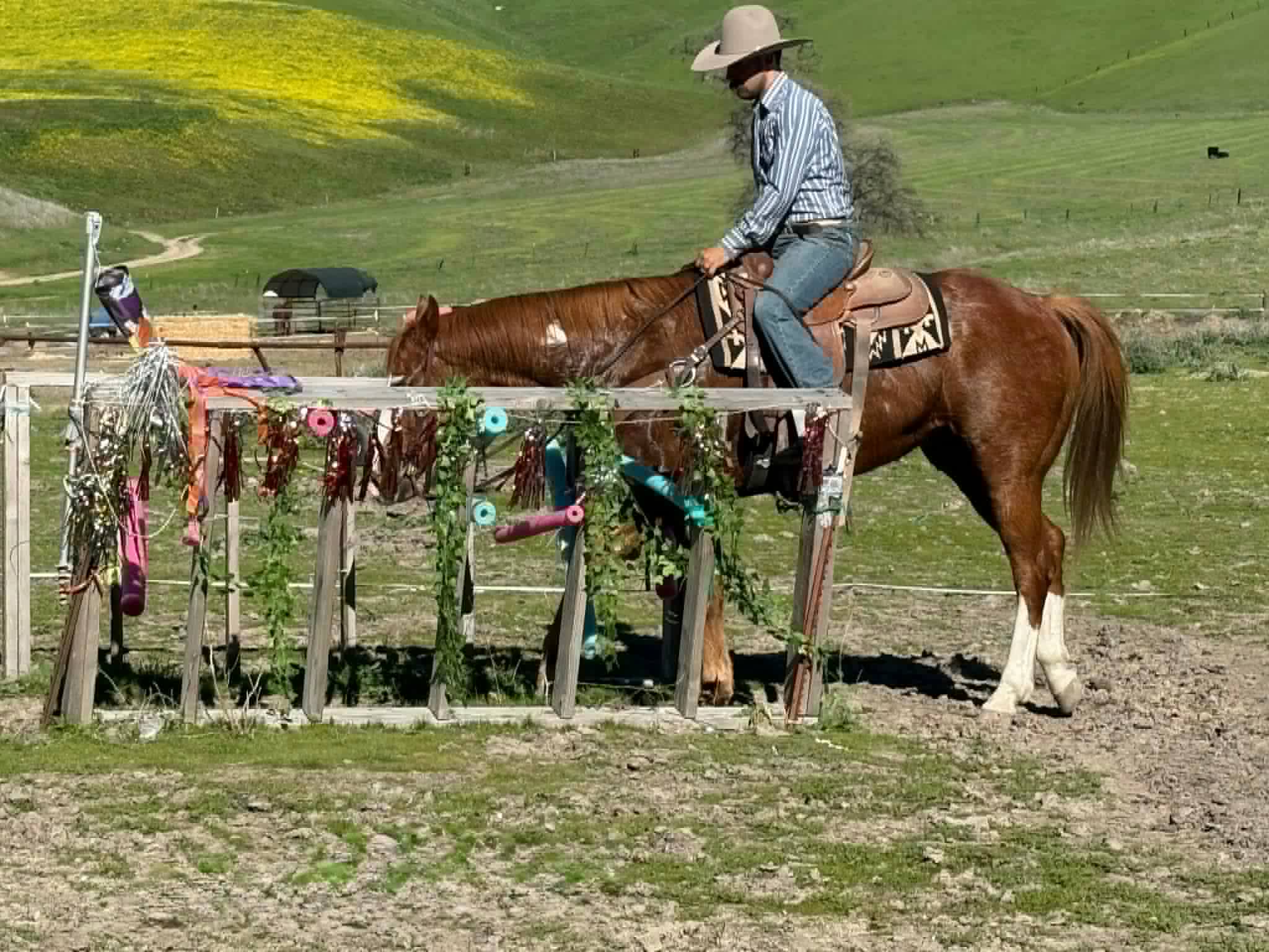 ALL STAR ADDICTION - Image 10