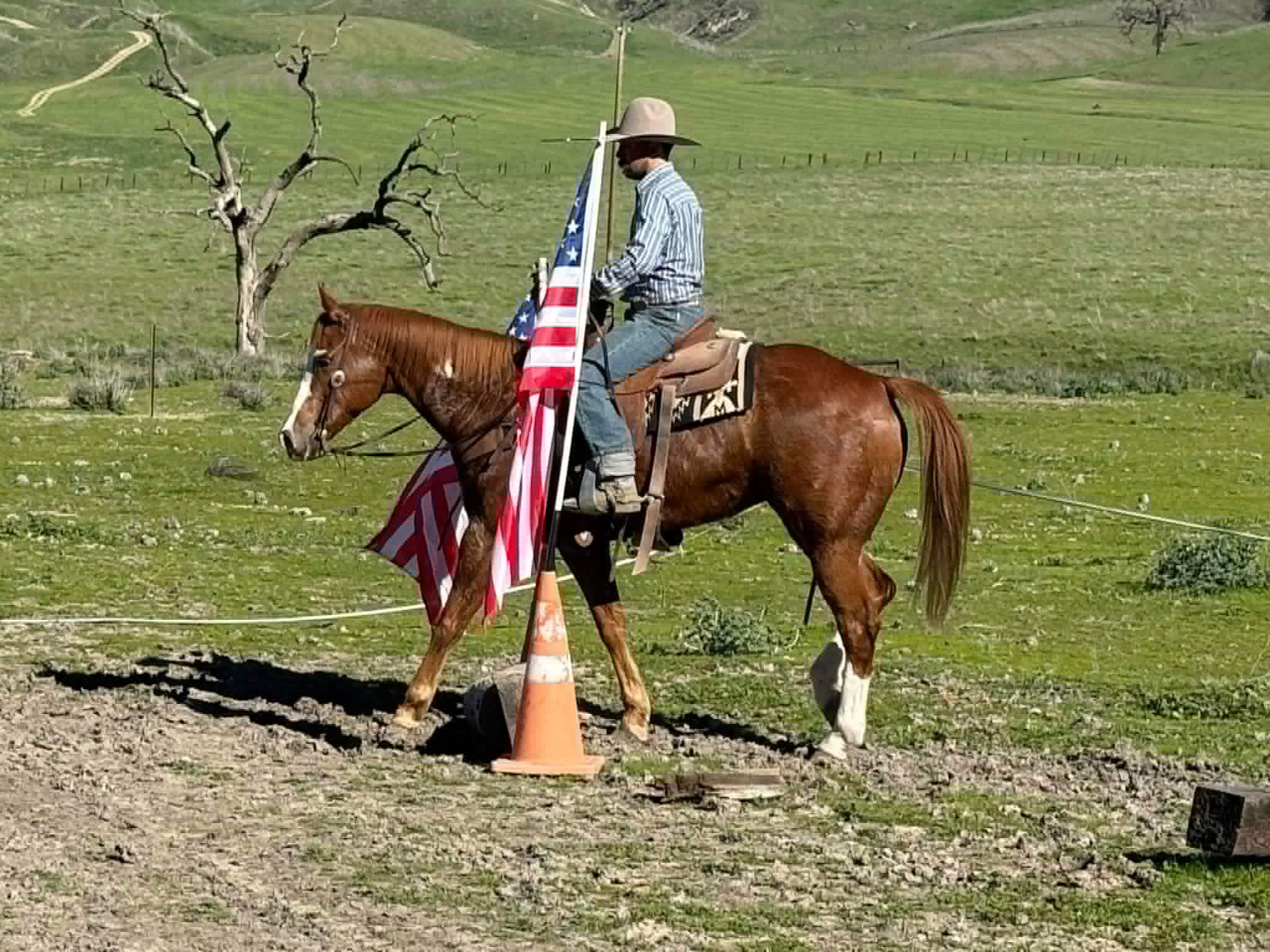 ALL STAR ADDICTION - Image 11