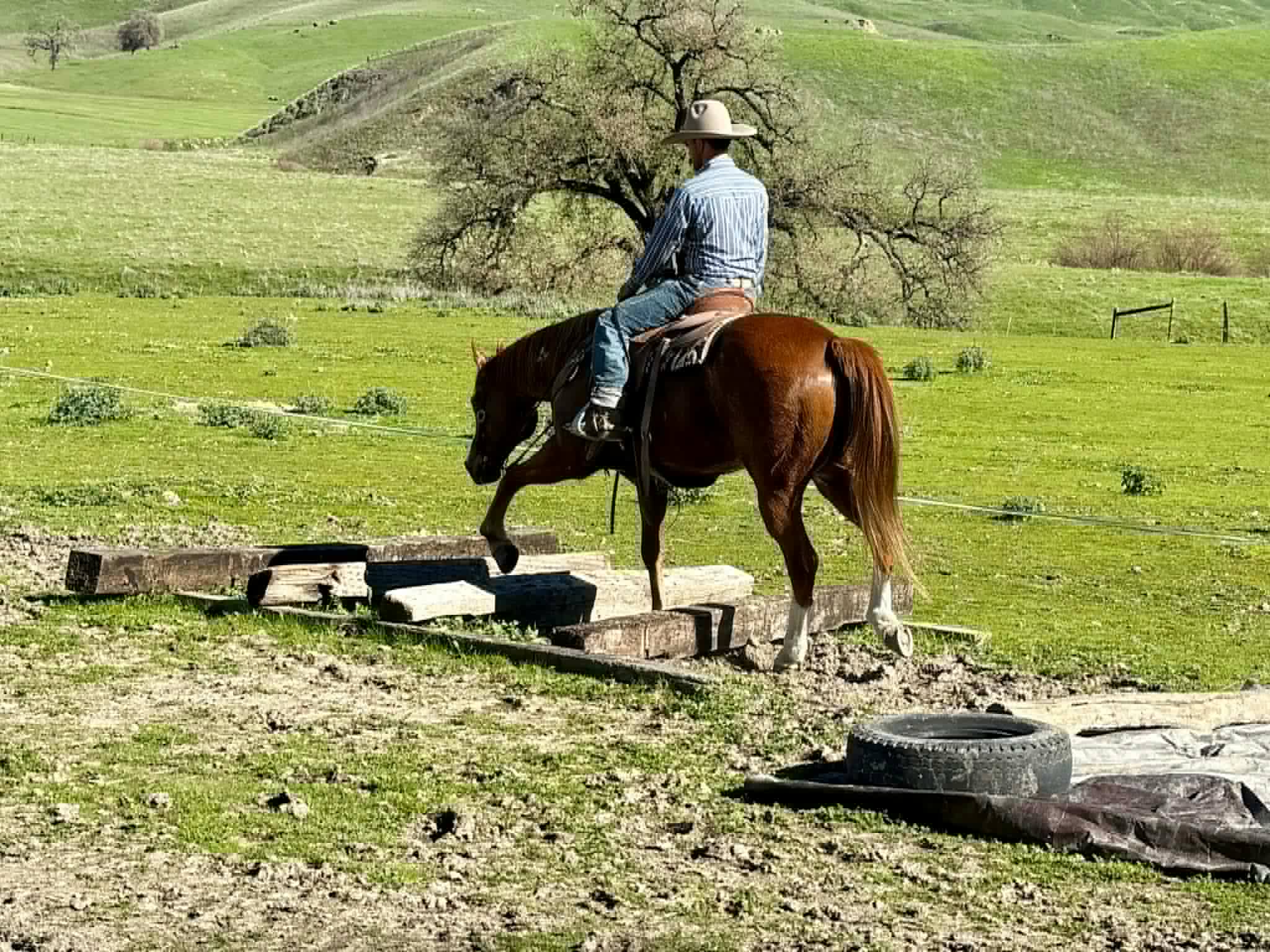 ALL STAR ADDICTION - Image 12