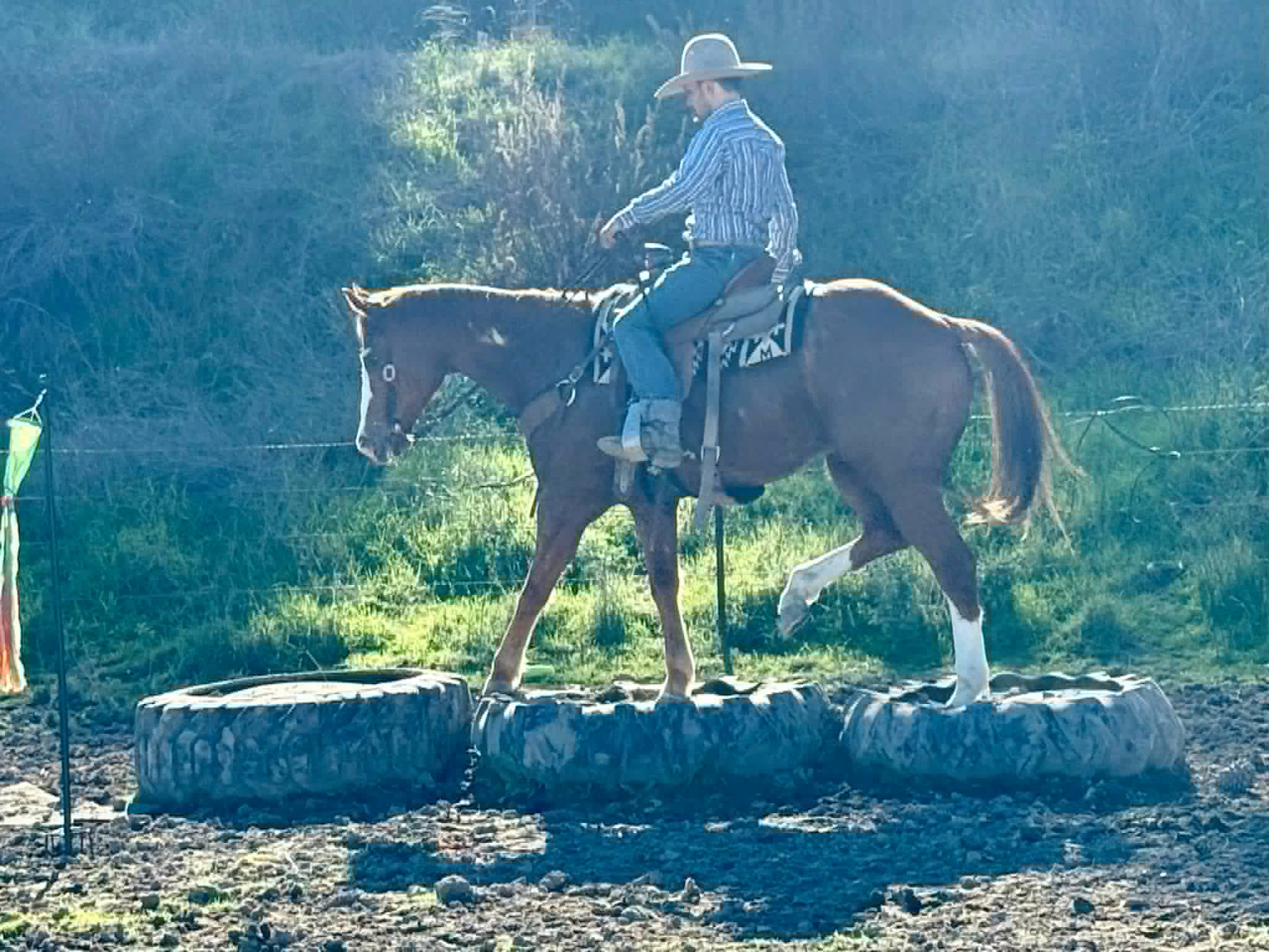 ALL STAR ADDICTION - Image 14