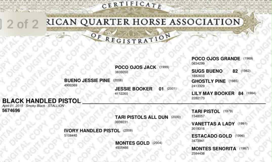 Black Handled Pistol - Image 3