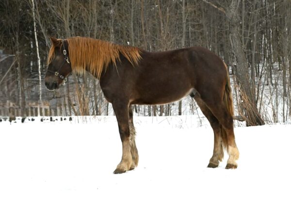 **Two Week Guarantee** Fabio