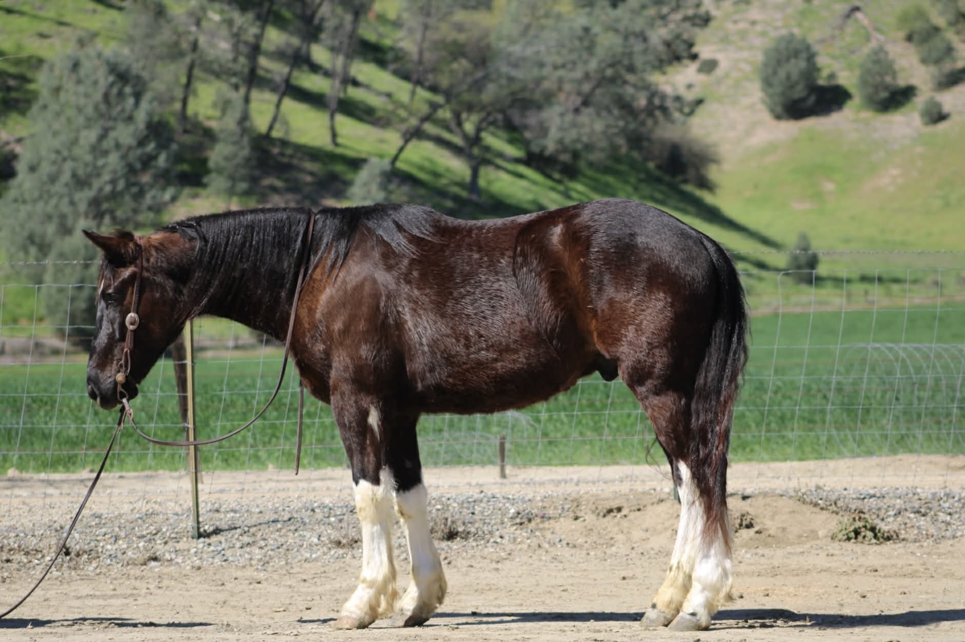MATER - Image 9