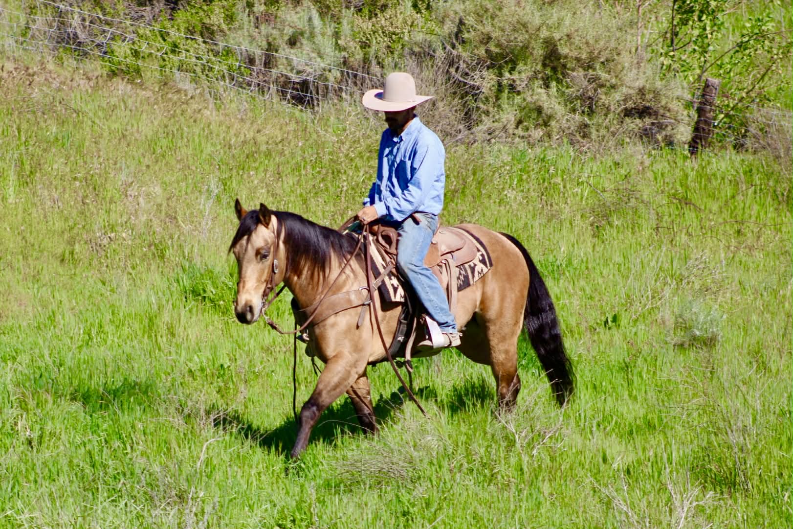 AJ - Image 15