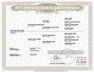 DUALIN DOC DOC - Image 4