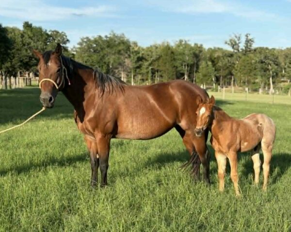 LORETTA and DJANGO