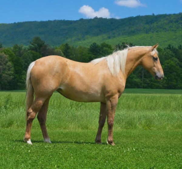 *CLARK FARMS LOT 01*