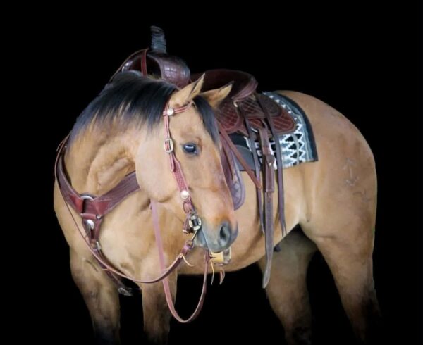 ROOSTER