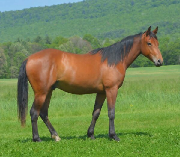 *CLARK FARMS LOT 05*