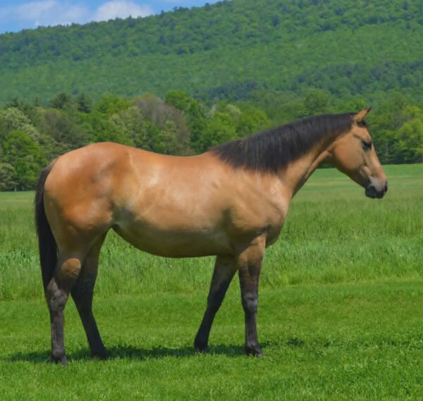 *CLARK FARMS LOT 07*