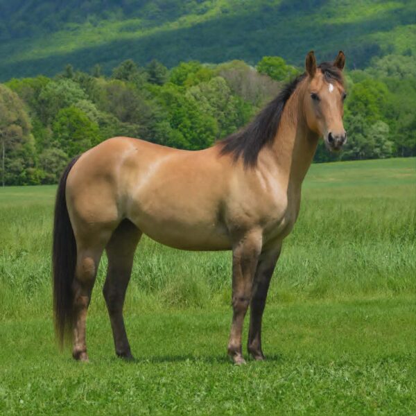 *CLARK FARMS LOT 10*