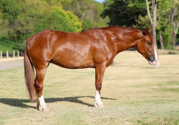 ROSALEE