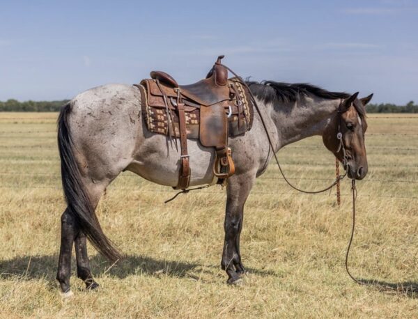 LOPIN A GOODRIDE